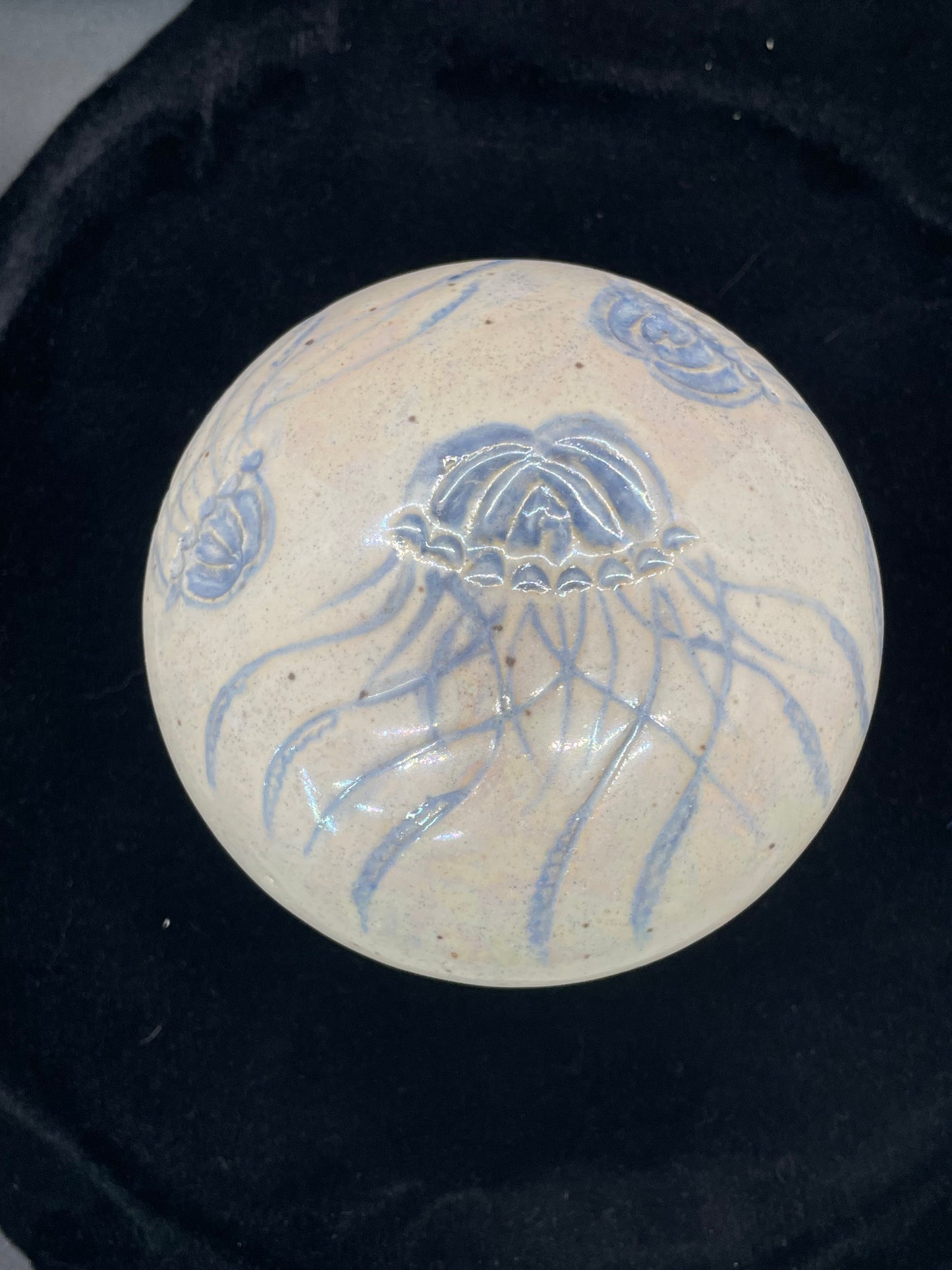 LC-6-Jellyfish