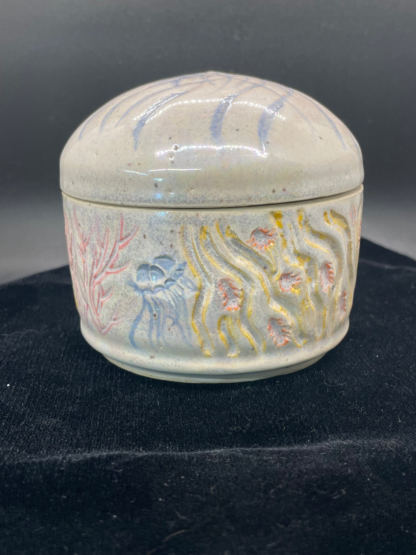 LC-6-Jellyfish