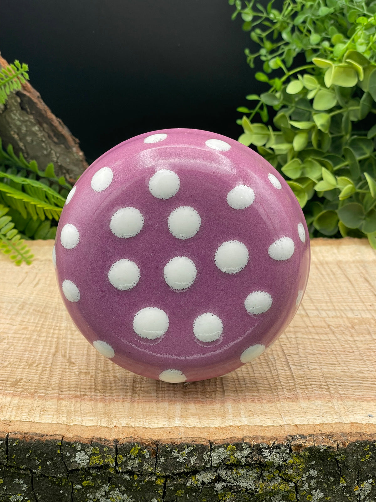 TH-Purple Dot