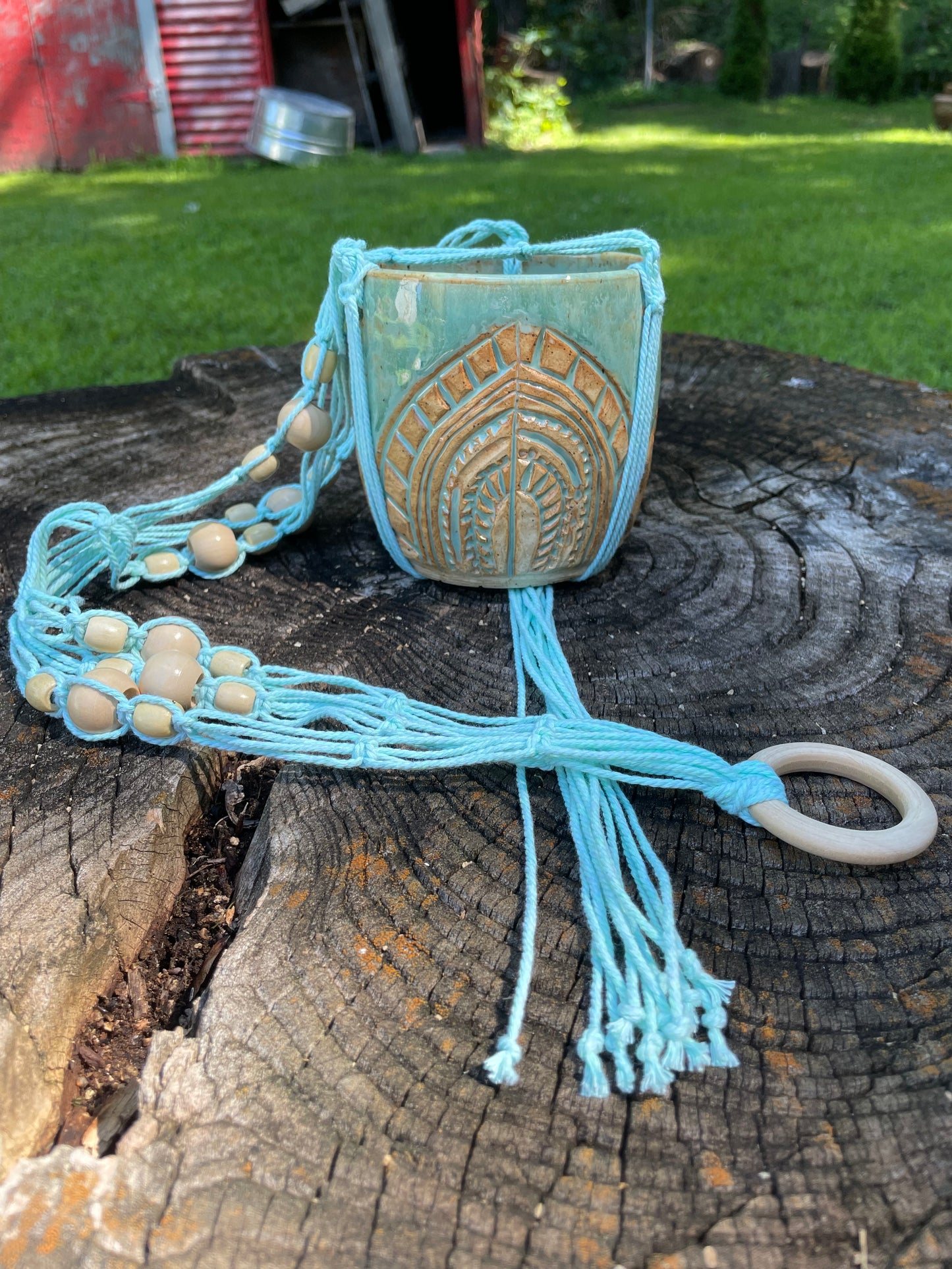MP-6-Teal