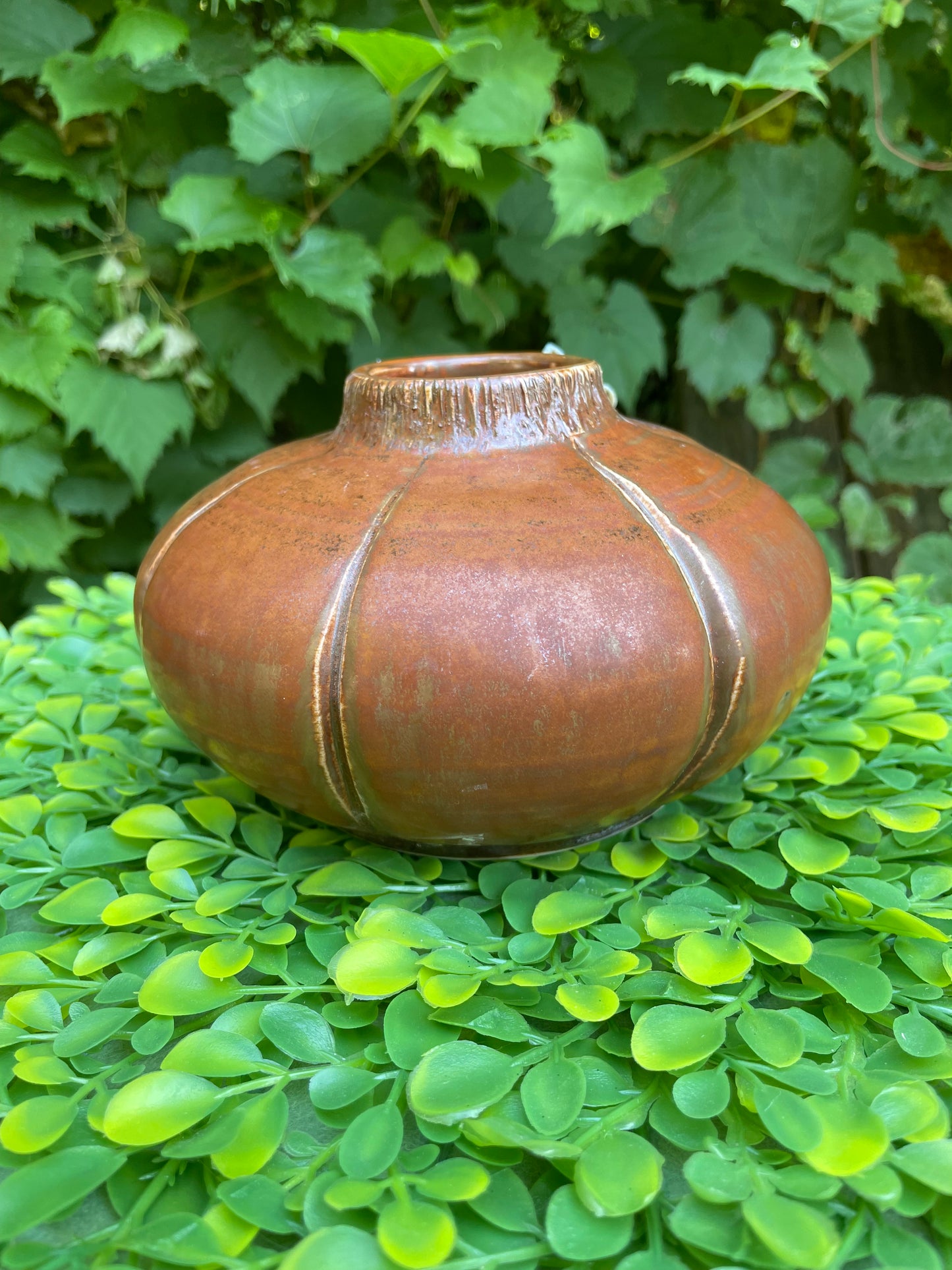 V-10-Pumpkin Wide