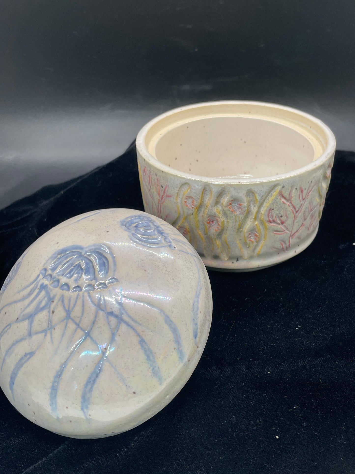 LC-6-Jellyfish
