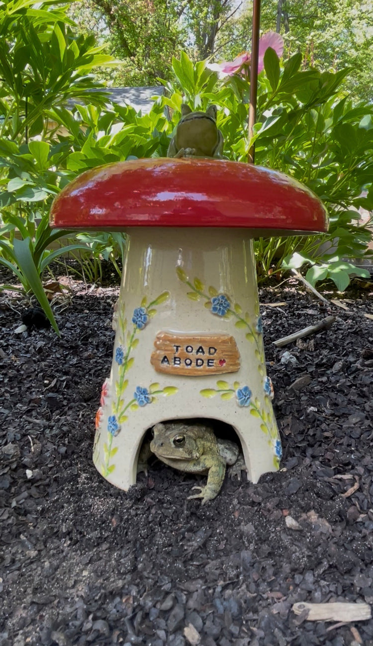 Large Toad Houses