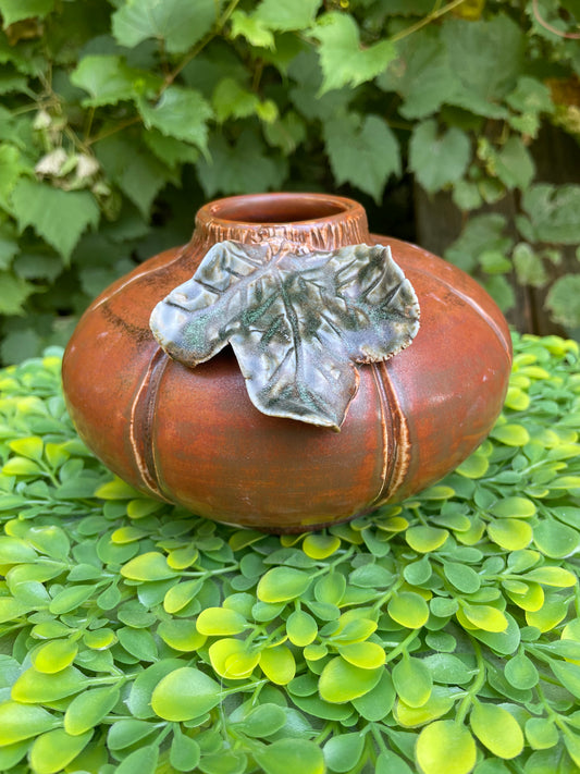 V-10-Pumpkin Wide
