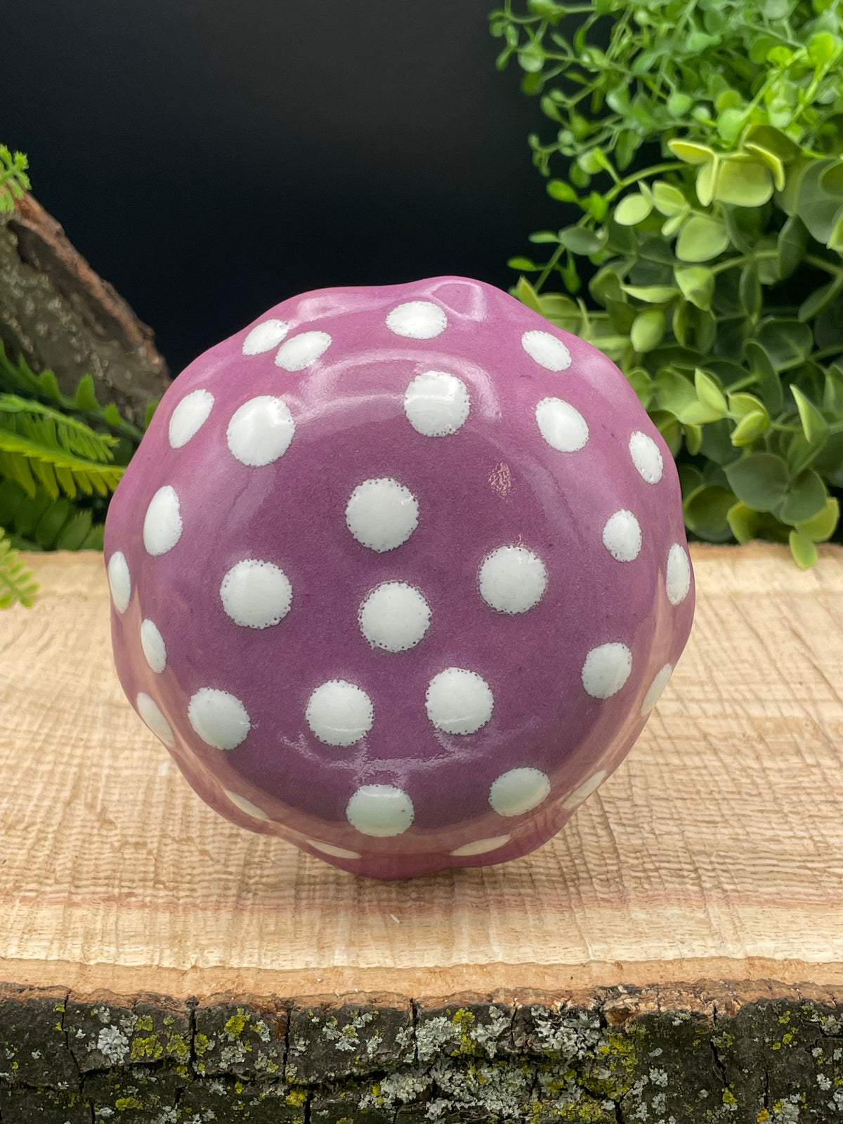 TH-Purple Polka
