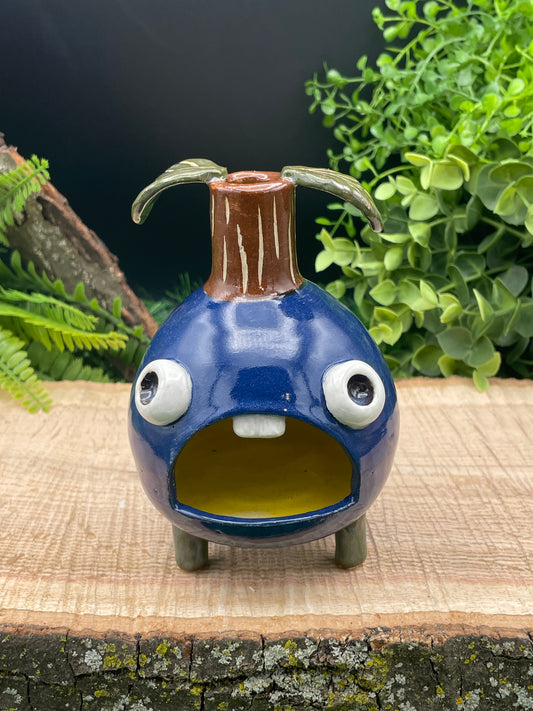 IB-Blueberry
